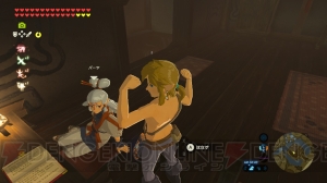 『ゼルダの伝説 ブレス オブ ザ ワイルド』で満喫するハイラル暮らし。自由度の高さと生活感がとにかく秀逸