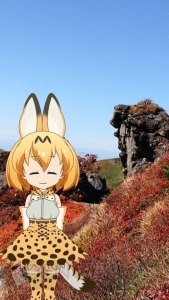 iOS版『けものフレンズあらーむ』配信。ボイスはサーバル役・尾崎由香さんの録り下ろし