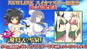 『シノビマスター 閃乱カグラ NEW LINK』