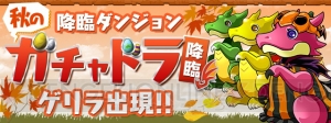 『パズドラ』ハロウィンイベント前半が10月20日より開催。ノエルドラゴンが毎日出現