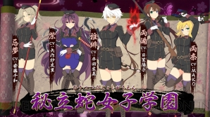 『シノビマスター 閃乱カグラ NEW LINK』