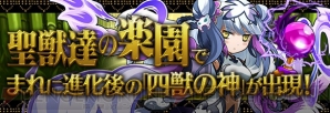 『パズル＆ドラゴンズ』