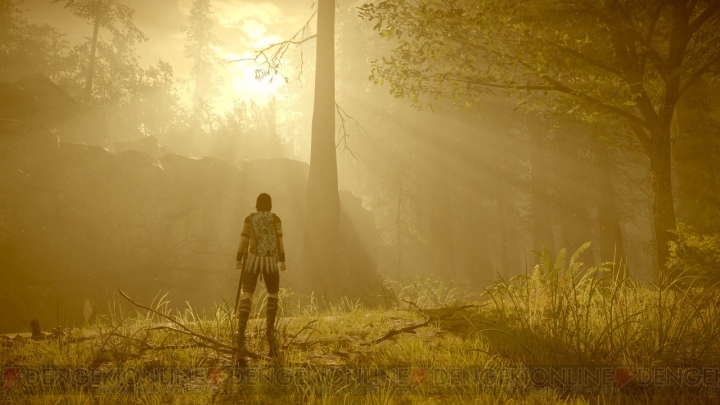 PS4版『ワンダと巨像』には“フォトモード”が搭載。ゲーム内の光景を自分好みに撮影できる