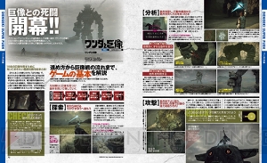 【電撃PS】PS4『ワンダと巨像』巨像との死闘の時来る！ 16体の巨像を倒すために必要な基礎知識を伝授