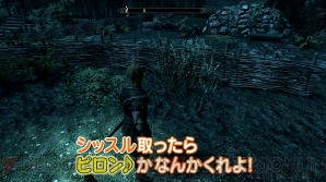 『The Elder Scrolls V： Skyrim』