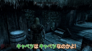 『The Elder Scrolls V： Skyrim』