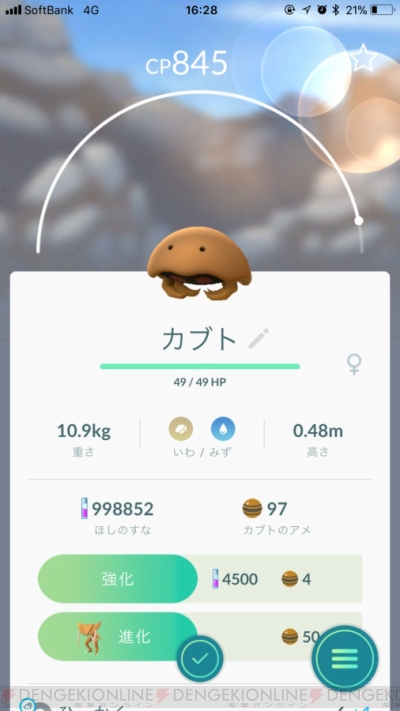 ポケモン Go 地域限定のサニーゴを入手できるか 沖縄旅行でポケモンを探索 電撃オンライン