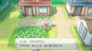 『ポケットモンスター Let’s Go! ピカチュウ・Let’s Go! イーブイ』