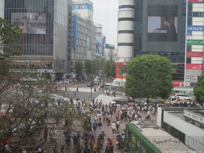 『428 封鎖された渋谷で』