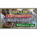 『MHF-Z』大型アプデや『PSO2』コラボ情報が発表されるTGS2018スペシャルステージは9月21日10：45より開始