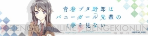 『青春ブタ野郎はバニーガール先輩の夢を見ない』