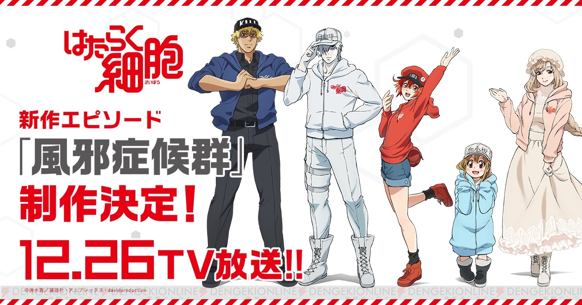 はたらく細胞いつから】はたらく細胞 - レンタルDVD｜TSUTAYA