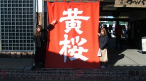 『清桜バスツアー』