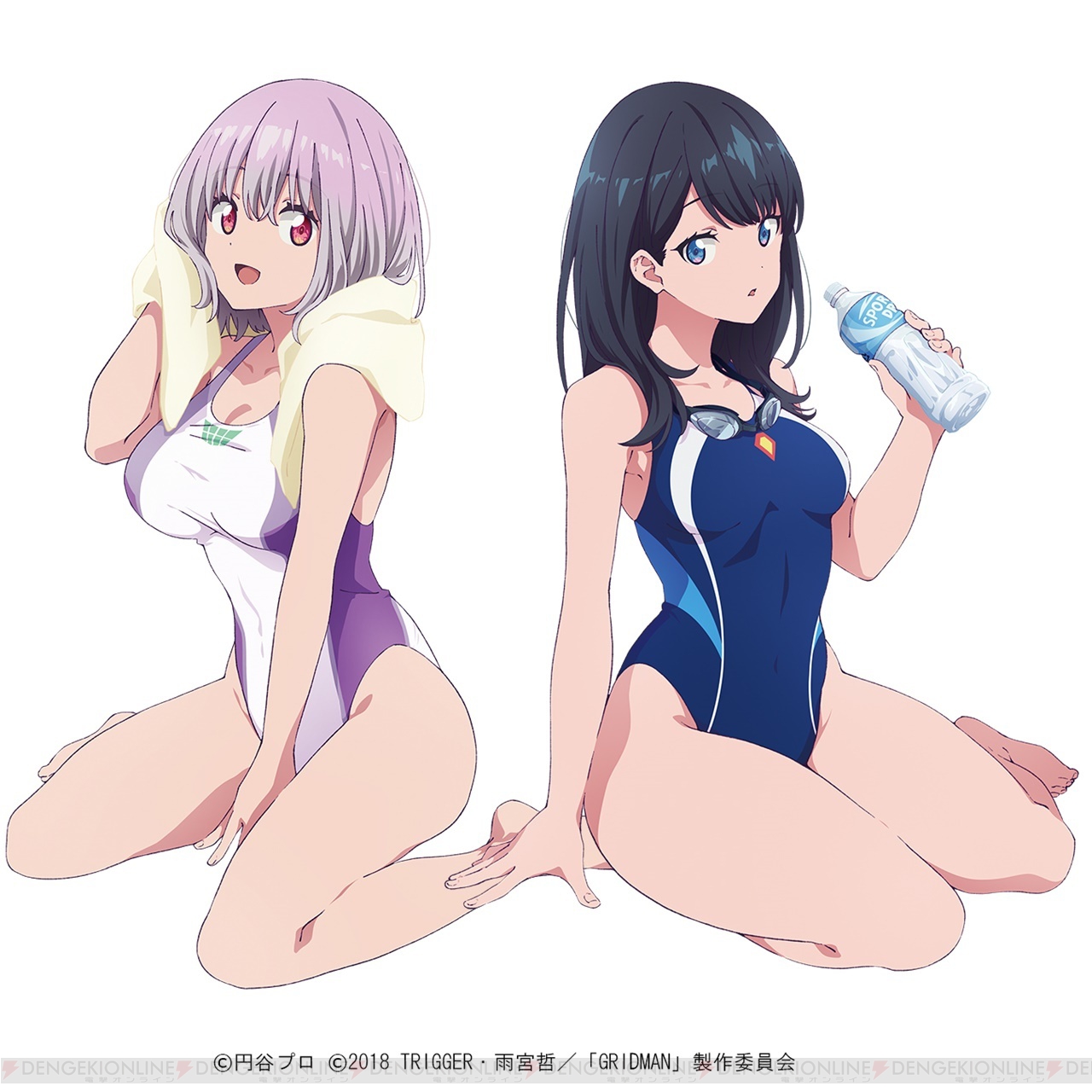 アニメキャラクター　美少女　水着　キャラクター　オイルライター　5個セット アニメキャラクター 美少女 水着 キャラクター オイルライター 5個