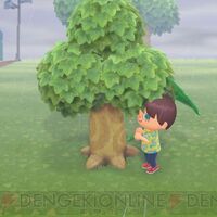 どうぶつの森日記