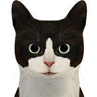 『東京サイコデミック』