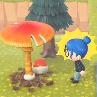 あつ森＿キノコ