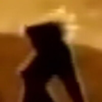 ゴロー2000才の家