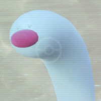 『ポケモンSV』