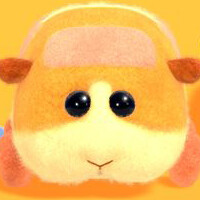 『PUI PUI モルカー』