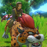 『ドラゴンクエストXI　過ぎ去りし時を求めて S』