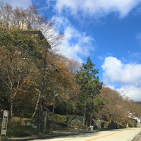 『ドラゴンクエストウォーク』