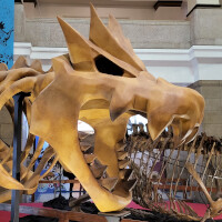 『ポケモン化石博物館』