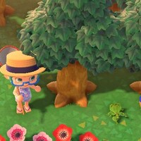 あつ森＿8月ムシ