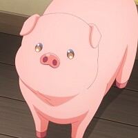 豚のレバーは加熱しろ