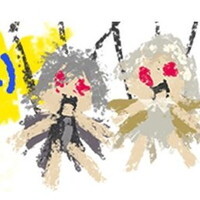 『シノアリス』