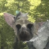 『人喰いの大鷲トリコ』