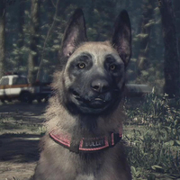 『ブレア・ウィッチ 日本語版』