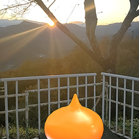 『ドラゴンクエストウォーク』