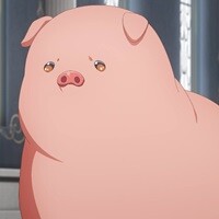 豚のレバーは加熱しろ