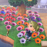 あつ森_5月のサカナ&海の幸