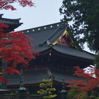 『ドラゴンクエストウォーク』