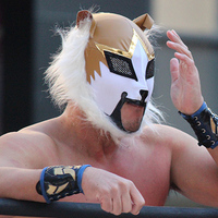 『旗揚！けものみち』