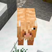 『マイクラアース』ウーリーカウ