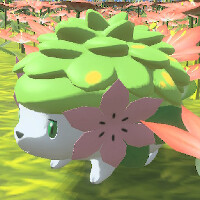 『ポケモンレジェンズ アルセウス』