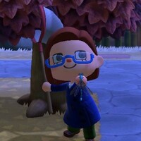 あつもり11月ムシ