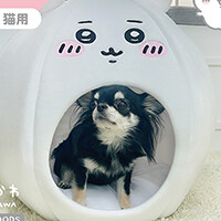 “ちいかわ”“ハチワレ”“うさぎ”