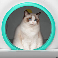 『Famree 猫 トイレ』
