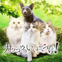 『カッコウのいいにゃづけ！』