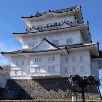 『ドラゴンクエストウォーク』