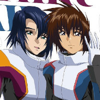 『機動戦⼠ガンダムSEED DESTINY』