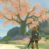 攻略：『ゼルダの伝説 ティアーズ オブ ザ キングダム（ティアキン）』洞窟を探すのに桜の木が超便利！ 効率よく洞窟を探す方法【ゼルダの伝説TotK日記＃12】