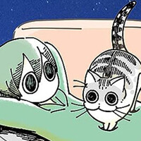 夜は猫と一緒