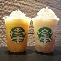 スタバレポート