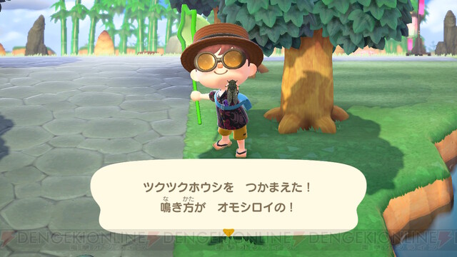 8月に捕まえたいムシをチェック あつ森日 215 電撃オンライン