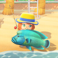 あつ森_8月サカナ&海の幸